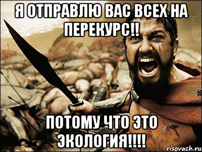 я отправлю вас всех на перекурс!! потому что это экология!!!, Мем Это Спарта