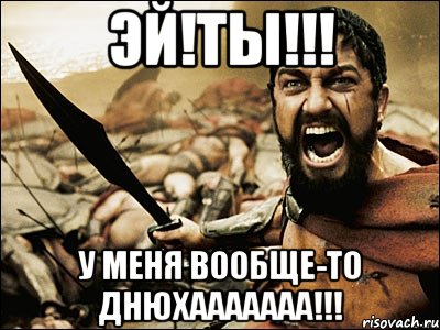 эй!ты!!! у меня вообще-то днюхааааааа!!!, Мем Это Спарта