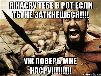 я насру тебе в рот если ты не заткнешься!!! уж поверь мне насру!!!, Мем Это Спарта