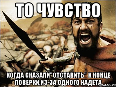 то чувство когда сказали"отставить" к конце поверки,из-за одного кадета, Мем Это Спарта