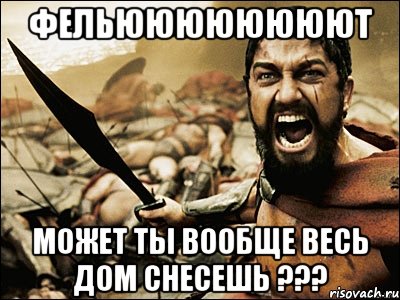 фельюююююююют может ты вообще весь дом снесешь ???, Мем Это Спарта