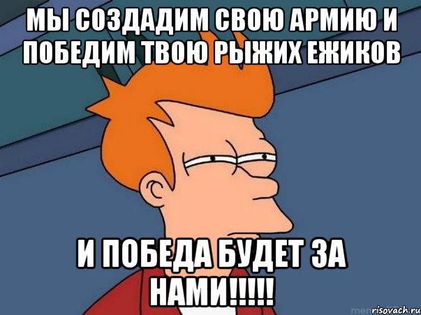 мы создадим свою армию и победим твою рыжих ежиков и победа будет за нами!!!, Мем  Фрай (мне кажется или)