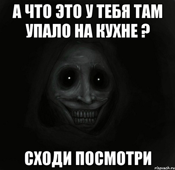 а что это у тебя там упало на кухне ? сходи посмотри, Мем Ночной гость