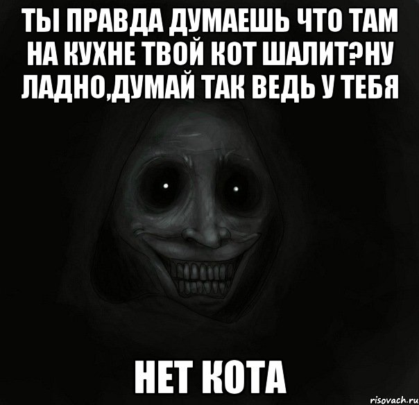 ты правда думаешь что там на кухне твой кот шалит?ну ладно,думай так ведь у тебя нет кота, Мем Ночной гость