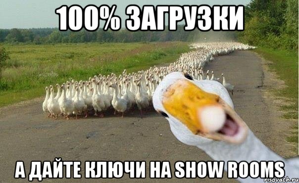 100% загрузки а дайте ключи на show rooms, Мем гуси