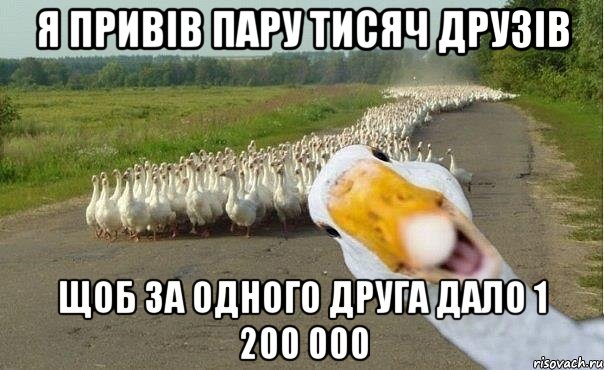 я привів пару тисяч друзів щоб за одного друга дало 1 200 000, Мем гуси