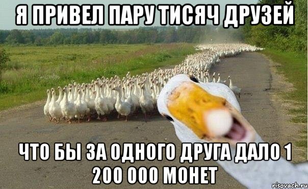 я привел пару тисяч друзей что бы за одного друга дало 1 200 000 монет, Мем гуси