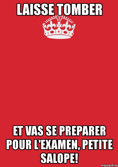 laisse tomber et vas se preparer pour l'examen, petite salope!, Комикс Keep Calm 3