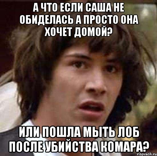 а что если саша не обиделась а просто она хочет домой? или пошла мыть лоб после убийства комара?, Мем А что если (Киану Ривз)