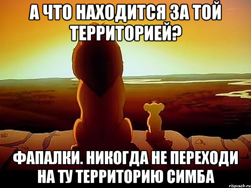 а что находится за той территорией? фапалки. никогда не переходи на ту территорию симба, Мем  король лев