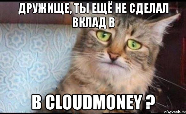 дружище, ты ещё не сделал вклад в в cloudmoney ?, Мем  кот печаль