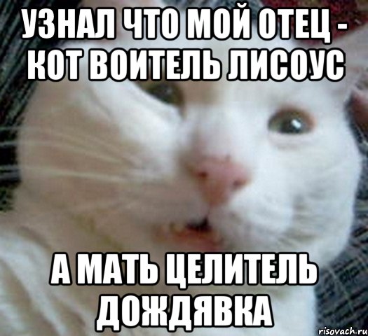 узнал что мой отец - кот воитель лисоус а мать целитель дождявка, Мем Котэ позитивный