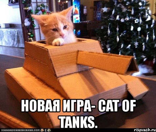  новая игра- cat of tanks.