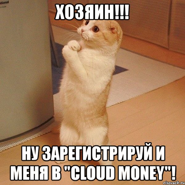 хозяин!!! ну зарегистрируй и меня в "cloud money"!, Мем  котэ молится