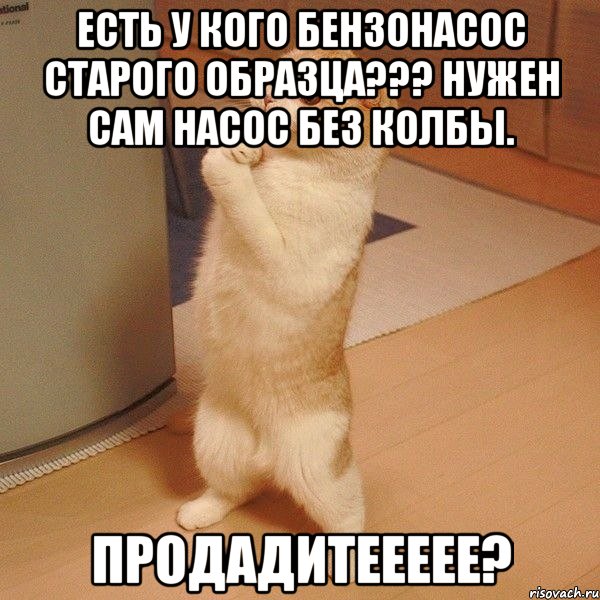 есть у кого бензонасос старого образца??? нужен сам насос без колбы. продадитеееее?, Мем  котэ молится