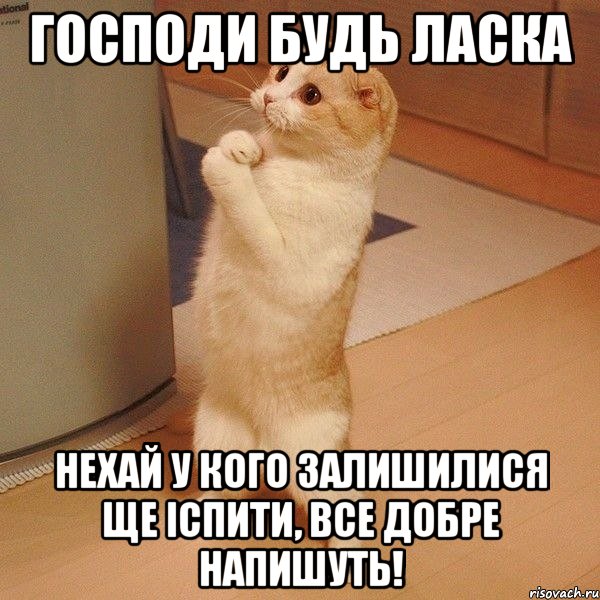 господи будь ласка нехай у кого залишилися ще іспити, все добре напишуть!, Мем  котэ молится