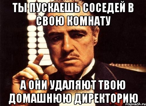 ты пускаешь соседей в свою комнату а они удаляют твою домашнюю директорию, Мем крестный отец