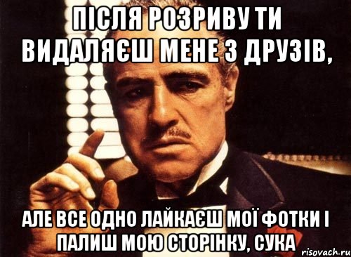 після розриву ти видаляєш мене з друзів, але все одно лайкаєш мої фотки і палиш мою сторінку, сука, Мем крестный отец