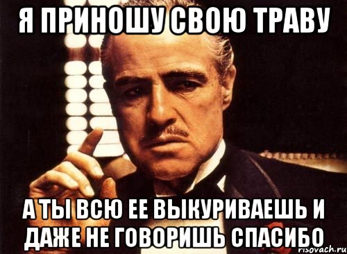 я приношу свою траву а ты всю ее выкуриваешь и даже не говоришь спасибо, Мем крестный отец