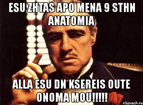 esu zhtas apo mena 9 sthn anatomia alla esu dn ksereis oute onoma mou!!!, Мем крестный отец