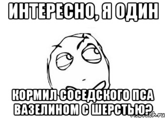 интересно, я один кормил соседского пса вазелином с шерстью?, Мем Мне кажется или