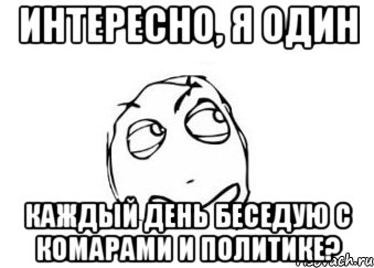 интересно, я один каждый день беседую с комарами и политике?, Мем Мне кажется или