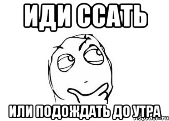 иди ссать или подождать до утра, Мем Мне кажется или