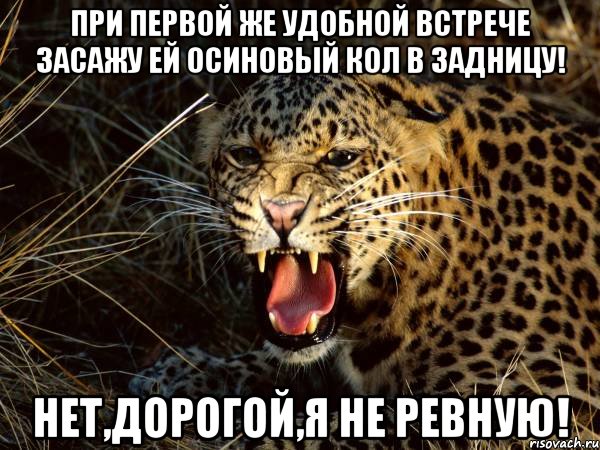 Я не ревную теперь