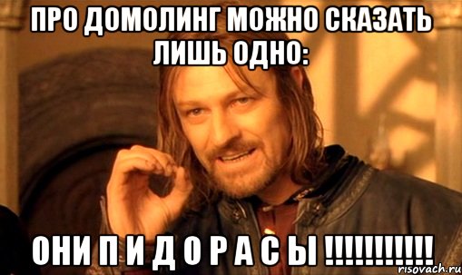 про домолинг можно сказать лишь одно: они п и д о р а с ы !!!, Мем Нельзя просто так взять и (Боромир мем)