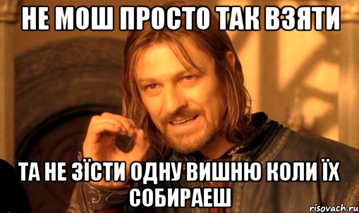 не мош просто так взяти та не зїсти одну вишню коли їх собираеш, Мем Нельзя просто так взять и (Боромир мем)