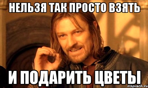 нельзя так просто взять и подарить цветы, Мем Нельзя просто так взять и (Боромир мем)