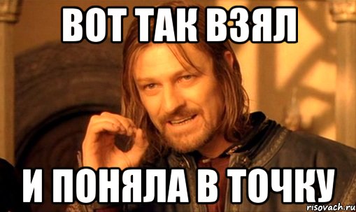 вот так взял и поняла в точку, Мем Нельзя просто так взять и (Боромир мем)