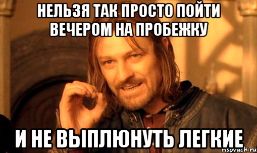 нельзя так просто пойти вечером на пробежку и не выплюнуть легкие, Мем Нельзя просто так взять и (Боромир мем)