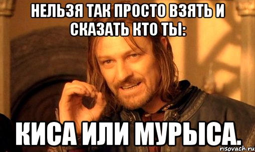 нельзя так просто взять и сказать кто ты: киса или мурыса., Мем Нельзя просто так взять и (Боромир мем)