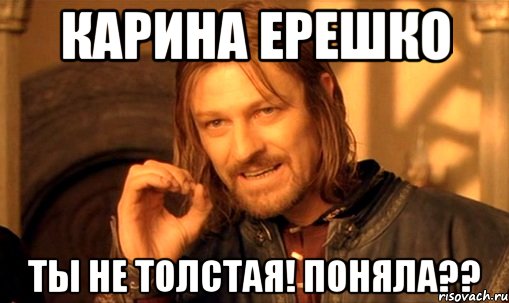 карина ерешко ты не толстая! поняла??, Мем Нельзя просто так взять и (Боромир мем)