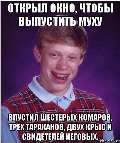 открыл окно, чтобы выпустить муху впустил шестерых комаров, трёх тараканов, двух крыс и свидетелей иеговых., Мем Неудачник Брайан