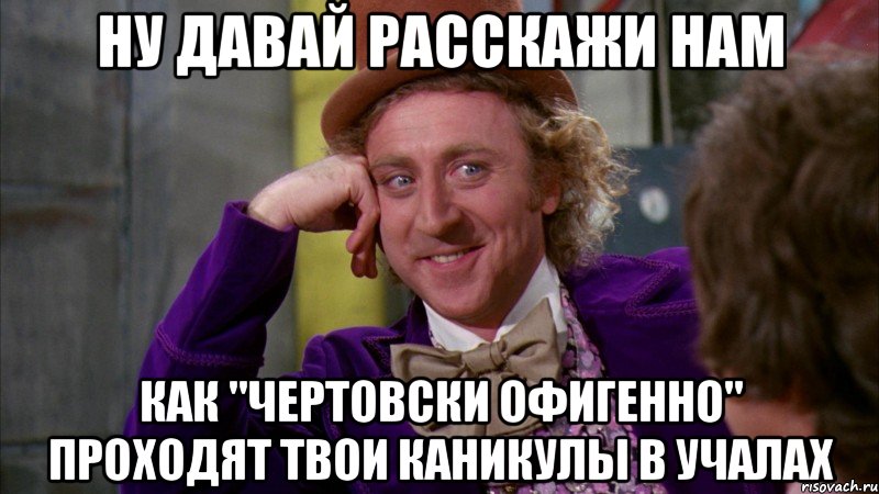 ну давай расскажи нам как "чертовски офигенно" проходят твои каникулы в учалах, Мем Ну давай расскажи (Вилли Вонка)