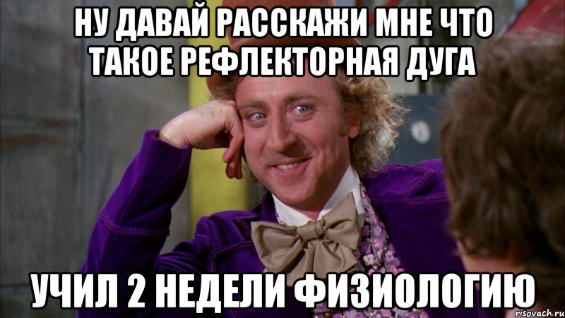 ну давай расскажи мне что такое рефлекторная дуга учил 2 недели физиологию, Мем Ну давай расскажи (Вилли Вонка)