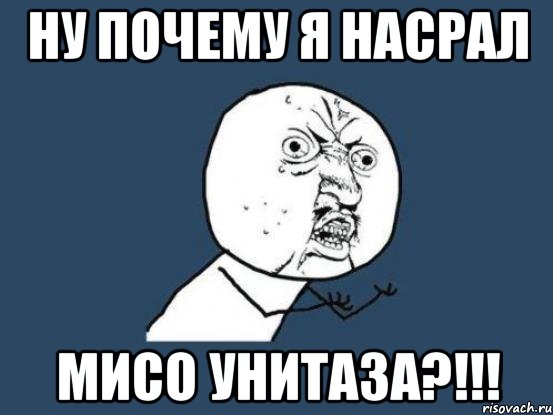 ну почему я насрал мисо унитаза?!!!, Мем Ну почему