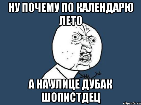 ну почему по календарю лето а на улице дубак шопистдец, Мем Ну почему