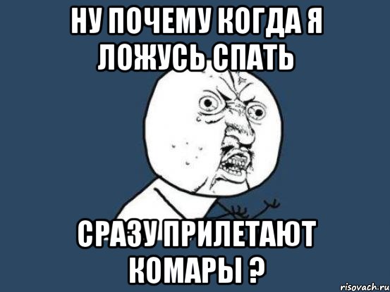 ну почему когда я ложусь спать сразу прилетают комары ?, Мем Ну почему