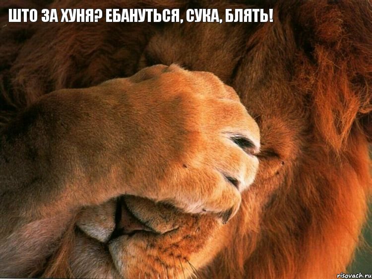 што за хуня? ебануться, сука, блять!, Мем Лев фэйспалм