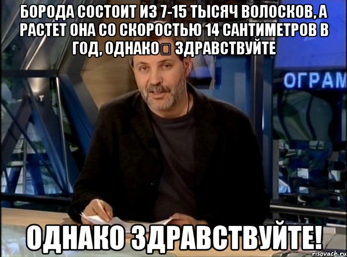 борода состоит из 7-15 тысяч волосков, а растет она со скоростью 14 сантиметров в год, однако здравствуйте однако здравствуйте!, Мем Однако Здравствуйте