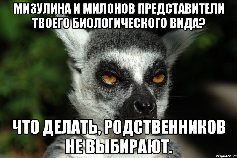 Опять делать. Фото родственников не выбирают. Родственников не выбирают. Твои биологические.