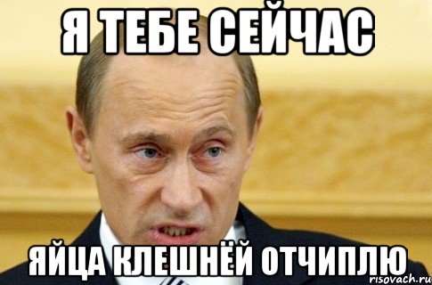 Пропусти сама. Да ты шутишь Мем Путин.