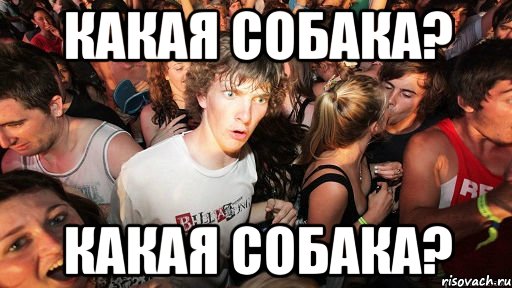 какая собака? какая собака?