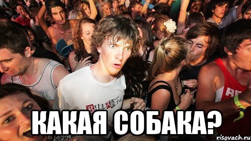  какая собака?