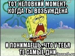 тот неловкий момент, когда ты возбуждена и понимаешь, что у тебя те самые дни, Мем Спанч Боб плачет