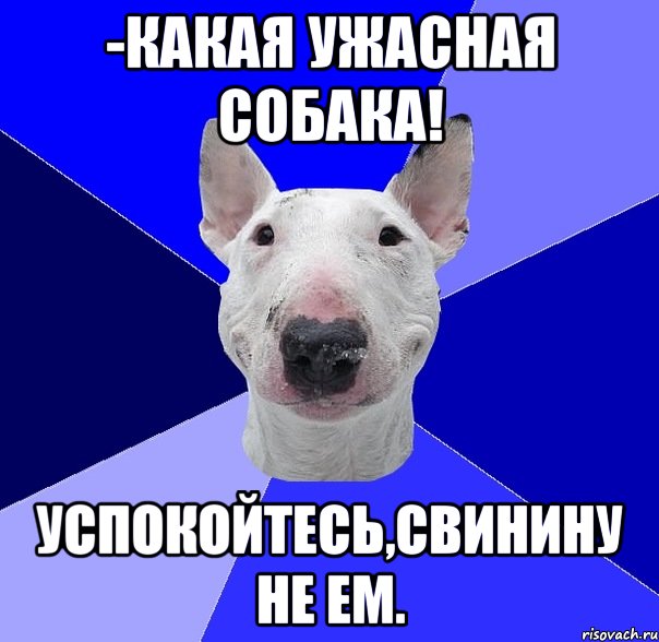 -какая ужасная собака! успокойтесь,свинину не ем.