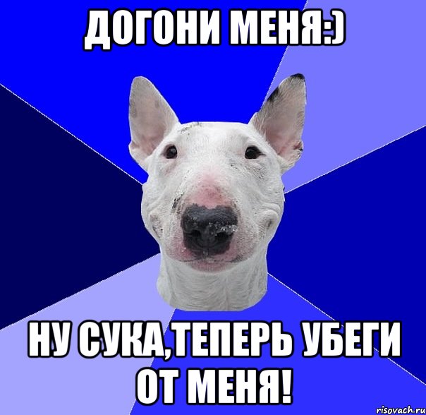 догони меня:) ну сука,теперь убеги от меня!